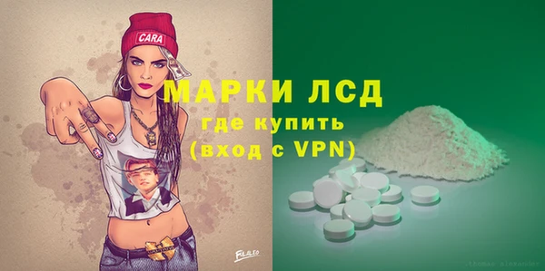 стафф Каменногорск