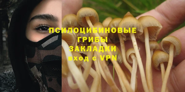 МДМА Каменка
