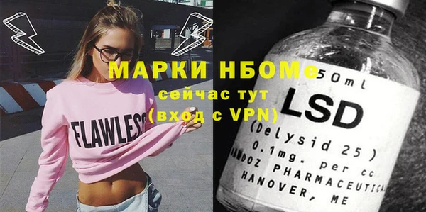 ГАЛЛЮЦИНОГЕННЫЕ ГРИБЫ Инта