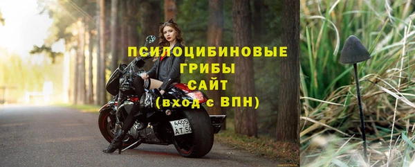 МДМА Каменка