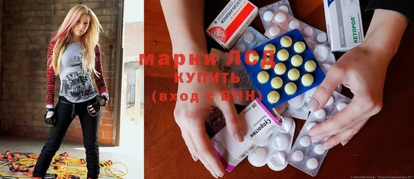 ГАЛЛЮЦИНОГЕННЫЕ ГРИБЫ Инта
