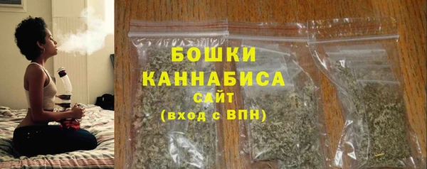 стафф Каменногорск