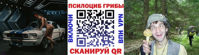 Галлюциногенные грибы Psilocybine cubensis Новосиль